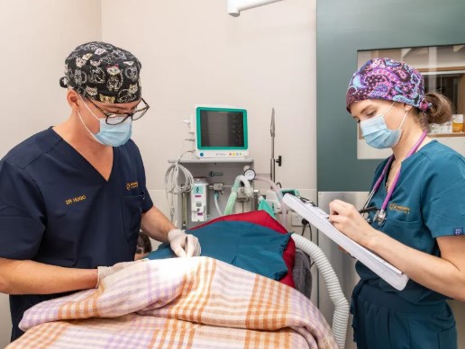 Daily Clinic Management