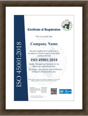 ISO 45001 Support